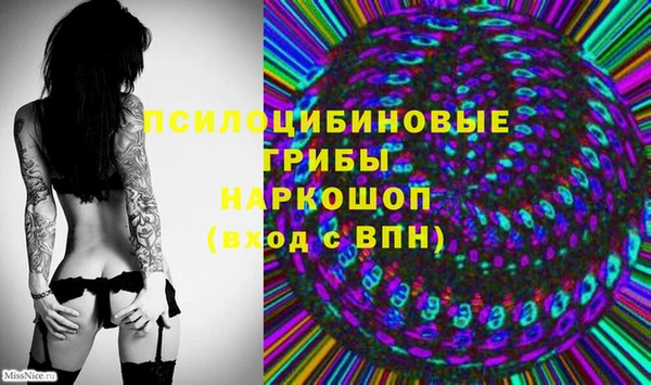 твердый Каменногорск