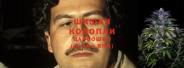 твердый Каменногорск