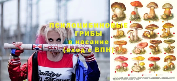 мескалин Каменка