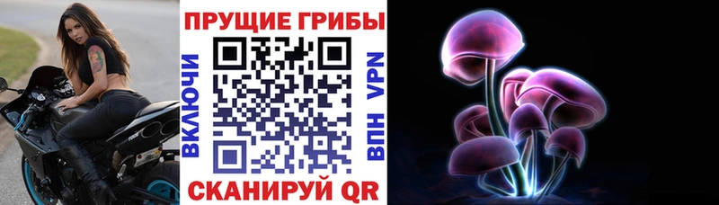 Купить где  Самара  Галлюциногенные грибы MAGIC MUSHROOMS 